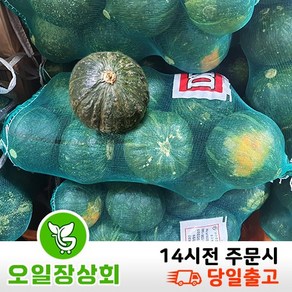 국내산 단호박 B급 크기랜덤5kg내외(10~15) 10kg내외(25~35), 1개, 긁힘5kg내외