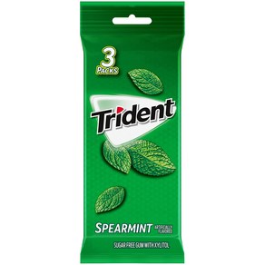 [미국직배송]트리덴트 스피어민트 무설탕 껌 3팩 Tident Speamint Gum 3pk, 3개