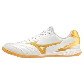 미즈노(MIZUNO) 모나르시다 NEO SALA PRO IN Q1GA2321