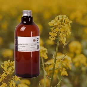 몰드몰 유채유 (카놀라) Canola Oil /카놀라유 /유채꽃 오일 /베이스오일, 1L, 1개