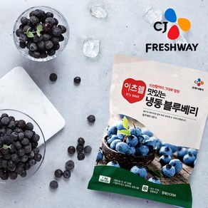 CJ프레시웨이 이츠웰 맛있는 냉동 블루베리, 1kg, 1개