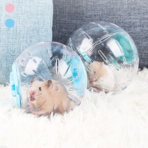 햄스터 헬스볼 장난감 운동볼 투명 놀리터, 20cm=핑크, 20cm_핑크, 1개