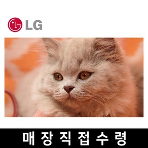 LG 75인치 퀀텀닷 4K 스마트 UHD TV 75QNED85 QNED 티비 유튜브 OTT, 고객직접설치, 스탠드형