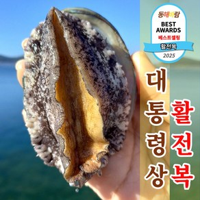 프리미엄 직거래 완도 활 전복 1kg, 1개, 대왕 특대사이즈 전복 7~8미