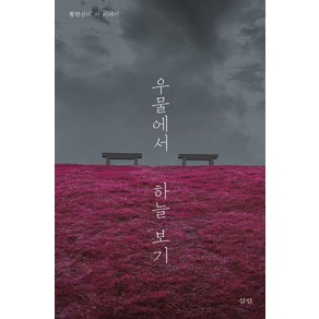 우물에서 하늘 보기:황현산의 시 이야기