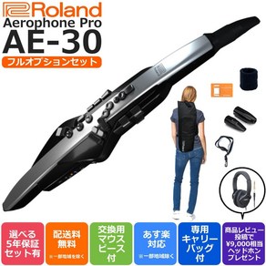 롤랜드 전자 색소폰 에어로폰 프로 Aerophone Pro AE-30