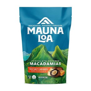 Mauna Loa 프리미엄 초콜릿 커버 마카다미아 너트 다크 초콜릿 113.4g(4온스) 백 (1팩), 1개, 226g