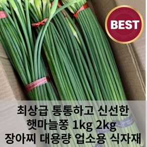 최상급 통통하고 알싸한 신선한 마늘쫑 햇마늘쫑 1kg 2kg 장아찌 대용량 업소용 식자재