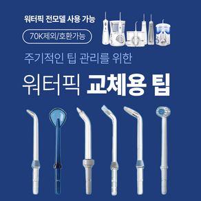 워터픽 100K 120K 450K 900K 제트팁, 제트팁(호환가능/70K제외), 1개