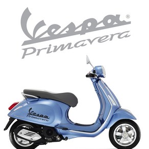 오토바이 데칼 스티커 Vespa 베스파 프리마베라, S, 골드헤어라인, 1개