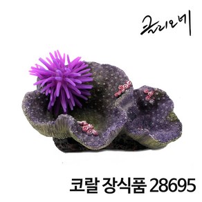 샘아쿠아 클리오네 코랄 산호 장식품 28695, 1개