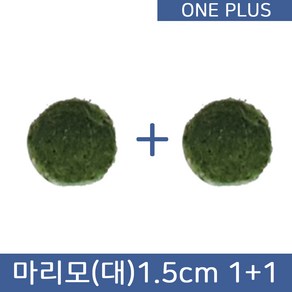 [원플러스 특가]마리모 단품 대 1.5cm (1+1), 1세트