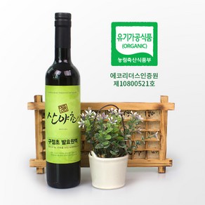 구절초 효소 발효액 유기농 이의영 산야초 효소 500ml, 1개