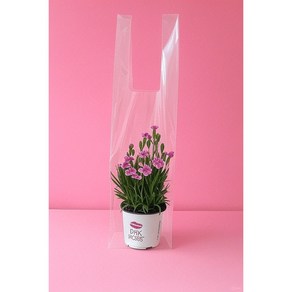 [비닐company] PE투명 와인비닐 꽃다발비닐 손잡이비닐, 50개