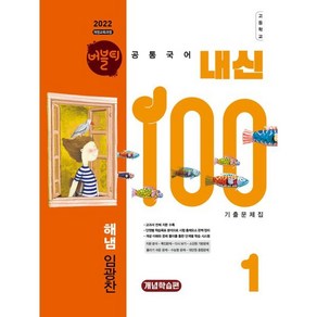 버블티 내신100 고등공통국어 1 해냄(임광찬) 기출문제집 개념학습편 (2025년), 국어영역, 고등학생