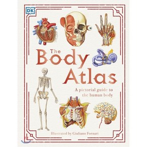 The Body Atlas : A Pictoial Guide to the Human Body, DK