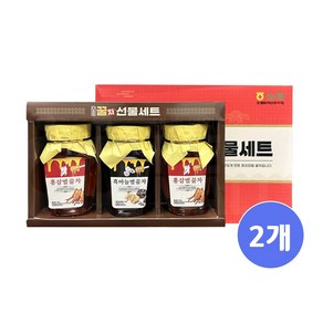 더조은 꿀차 선물세트, 2개, 홍삼벌꿀차+흑마늘벌꿀차+홍삼벌꿀차