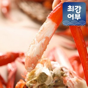 [선주직송] 포항 구룡포 연지홍게 B품 C품 실속형 자숙홍게 제철홍게, 1개, 5kg(C급 수율 50% 내외)