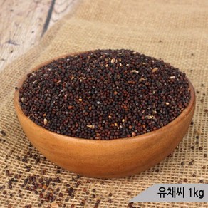 건강알곡 유채씨 1kg 앵무새 햄스터 모이 간식 사료, 1개