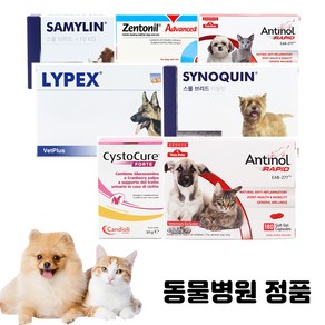 베츠페츠 베토퀴놀 벳플러스 버박 넬라펫 강아지 고양이 영양제 신장 관절 오메가3 유산균 칼슘 레날 안티놀래피드, 베토퀴놀 젠토닐 어드밴스 200mg, 1개