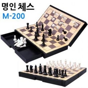 중형 자석식 체스 (M-200)