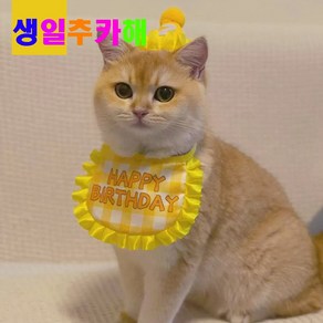 알파벳샵 강아지 고양이 생일 파티 고깔 숫자 세트 * 2개, 1세트, 노랑