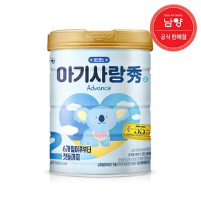 뉴 아기사랑 수 어드밴스 분유 2단계 750g, 1개