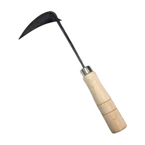 제이오마켓 파호미, 1개, 단품
