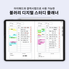 굿노트 스터디 플래너 / 아이패드 갤럭시탭 / 무채색속지 PDF