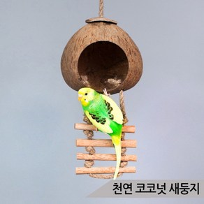 올블루 코코넛 사다리 새둥지 중소형, 혼합색상, 1개