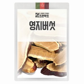 영지버섯 500g, 1개