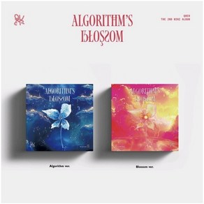 [CD] QWER (큐더블유이알) - 미니앨범 2집 : Algoithm's Blossom [2종 중 1종 랜덤발송] : 포토북 + 엽서세트 (5종) + C...