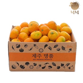 제주 귤 감귤 조생귤 2kg/3kg/4.5kg, 1박스, 중대과(L-2L) 2kg