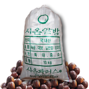 [시온견과] 알밤(대)20kg 24년 햇밤, 1포, 20kg