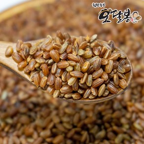 힘찬농부 국산 홍미 적미 붉은쌀, 1개, 500g