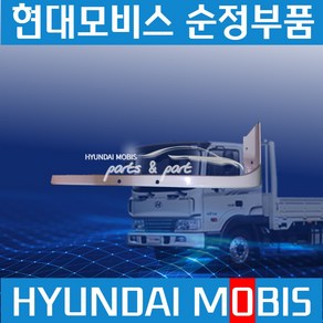 메가트럭 250마력 라이트 가니쉬 운전석 조수석 863156C000 863256C000, 1개