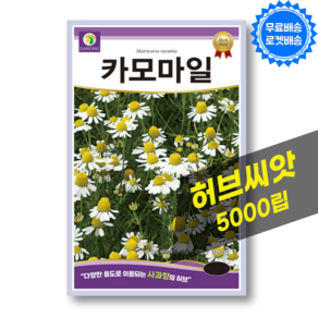 캐모마일 씨앗 Chamomile 카모마일 종자 허브 씨앗 허브키우기 종자