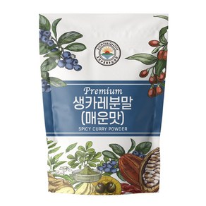 해나식품 카레가루 커리분말 매운맛 500g, 1개