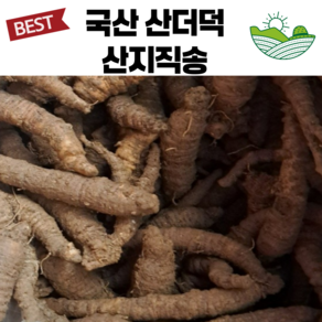 산지직송 6년근 산더덕 야생 제철 노지 국산, 1개, 산더덕(소)1kg