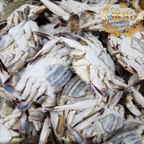 꽃게 국내산 연평도 신선급냉 알배기 암꽃게 수율가득 프리미엄 급냉, 알배기 2KG (6-10미), 1개