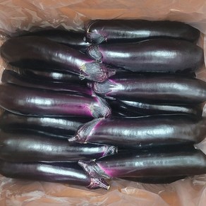 국내산 가지 통통한가지 당일경매 못난이 특품 1kg 2kg 5kg, 가지 특품 1kg, 1개