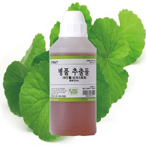 림스아로마 병풀추출물, 병풀추출물500ml, 1개