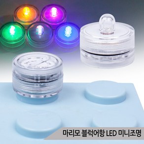 마리모 블럭어항 LED 미니조명 3종 DIY 소형 전구