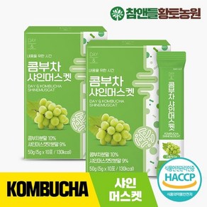 기타 [참앤들황토농원] 데이앤 콤부차 샤인머스켓 10포 2박스, 50g, 2개