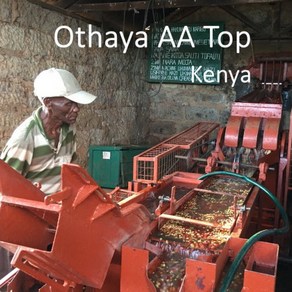 [위트러스트] 케냐 오타야 AA Top 500g Kenya Othaya