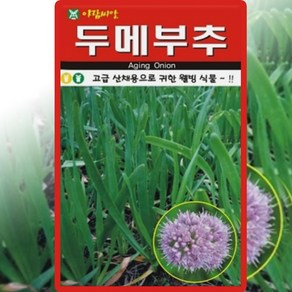 아람종묘 두메부추 씨앗 100립 산부추 씨 산채용 종자, 1개