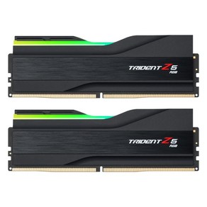 G.SKILL G.SKILL DDR5-7200 CL34 TRIDENT Z5 RGB J 패키지 (32GB(16Gx2)), 2개