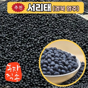 [부안로컬] 24년산 햇곡 계화 간척지 국산 서리태 1kg 속청 검은콩 블랙푸드, 1박스