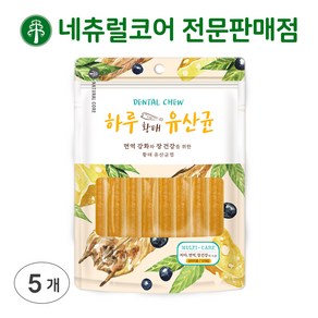 네츄럴코어 하루유산균 12p, 72g, 5개, 하루 황태 12p