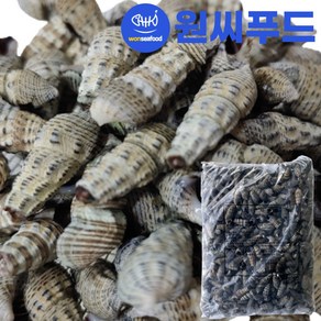 자숙 손질 갯고둥 1kg 꼭지제거 냉동 올갱이 고디 바다 다슬기 갯고동, 1개